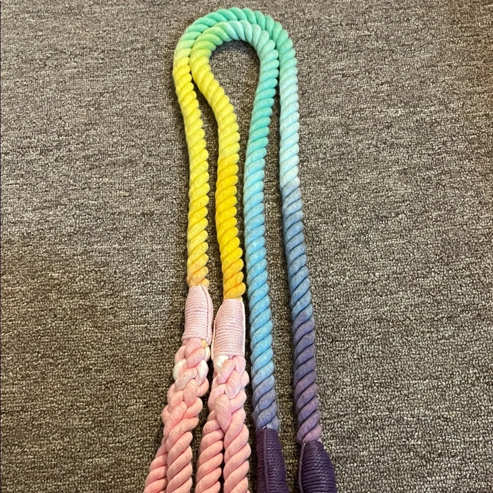 Vibrant Multicolor Dog Leash****ONLY 1, PLEASE SEE NOTE BELOW****